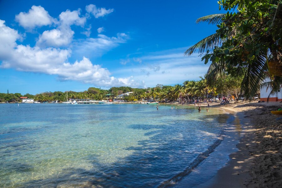 Things to Do in Roatan